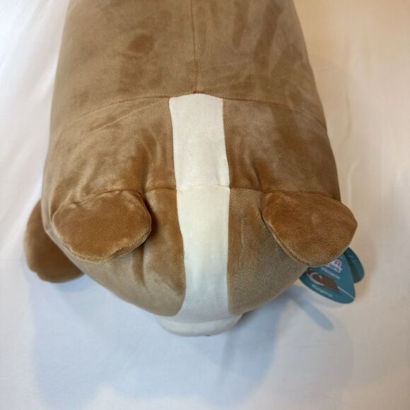 Squishmallows Sleep-A-Mallow Regina 18" Corgi Plush - NWT - 2024 Release - Picture 5 of 9
